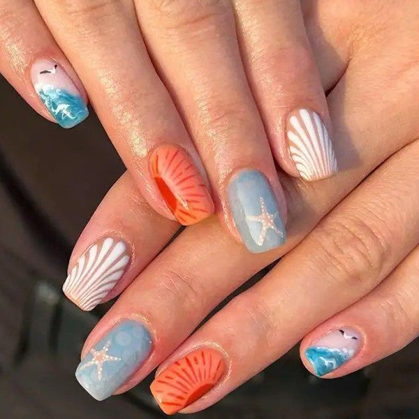 Coastal Shell Chic
